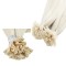 #614 WHITE BLONDE U-tip Fusion Pre-Bonded Premium 6A Hair Extensions 25g/qty 20"