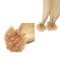 #22 BEACH BLONDE U-tip Fusion Pre-Bonded Hair Extensions 50g/qty 