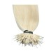#60 PLATINUM BLONDE Nano Tip/Ring hair Extensions 50g Length 20/22" Straight #60 PLATINUM BLONDE Nano Tip/Ring hair Extensions 50g Length 20/22" Straight