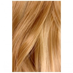 #14 LIGHTEST GOLDEN BLONDE Halo Hair Extensions 100g 20"