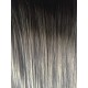OMBRE #1 Jet Black/101G Silver Grey Hair Extensions 50 Grams Length 20" (Fusion U-tip)