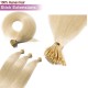 Stick Tip / I-Tip Pre-bonded Hair Extensions - #24 SUNLIGHT BLONDE 50g Length 20" Stick Tip / I-Tip Pre-bonded Hair Extensions - #24 SUNLIGHT BLONDE 50g Length 20"