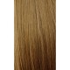 EUROPEAN #6 CHESTNUT BROWN Tape Hair Extensions 20 PCs / QTY Lengths 16"/20"/22" Straight
