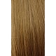 Stick Tip / I-Tip Pre-bonded Hair Extensions - #6 CHESTNUT BROWN 50g Length 20" Stick Tip / I-Tip Pre-bonded Hair Extensions - #6 CHESTNUT BROWN 50g Length 20"
